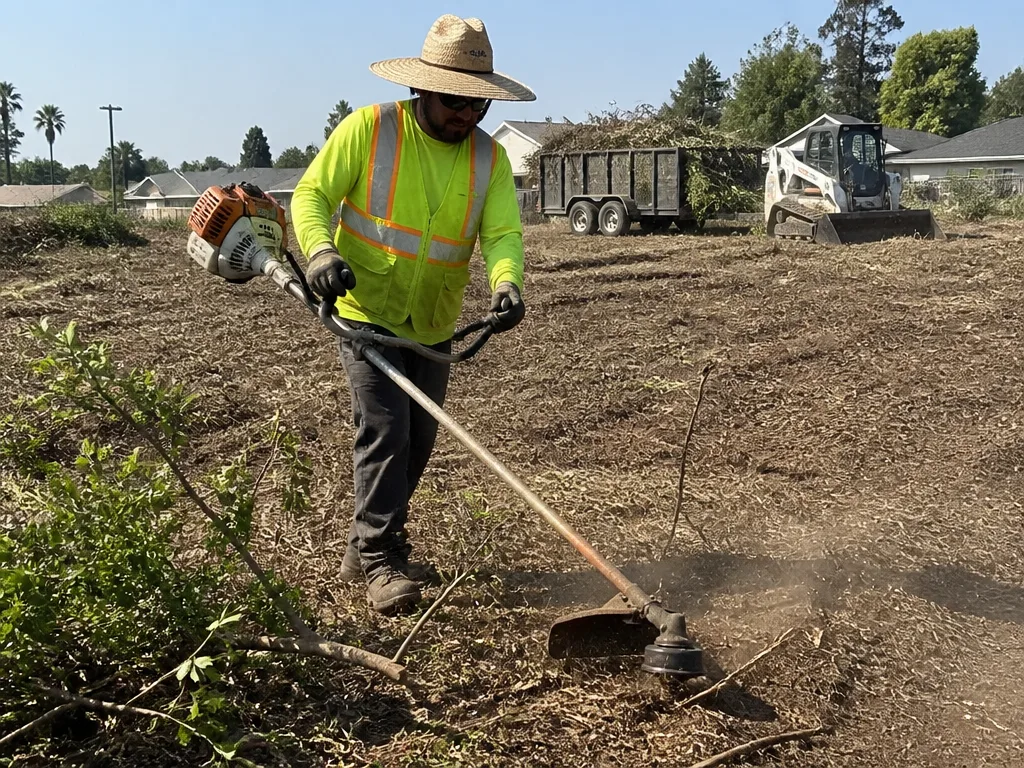 Lot Clearing